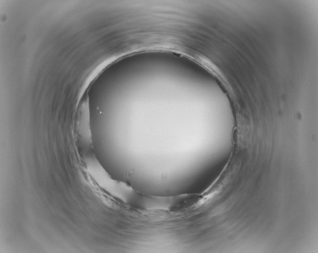 X0000052630956200507221747