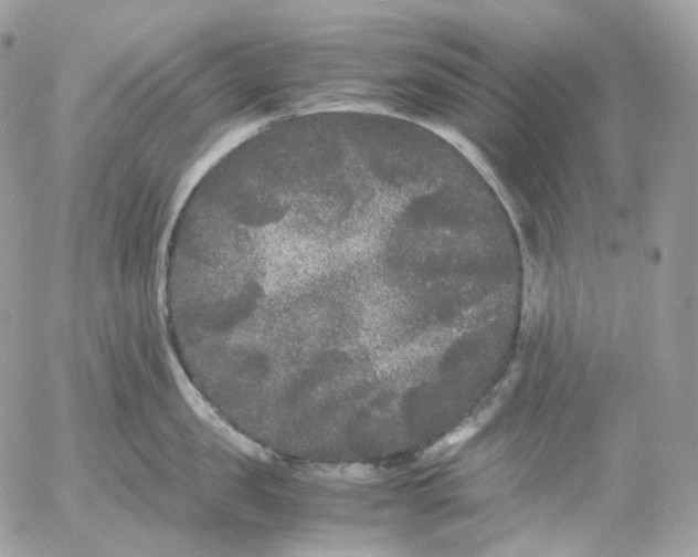 X0000052630957200507221747