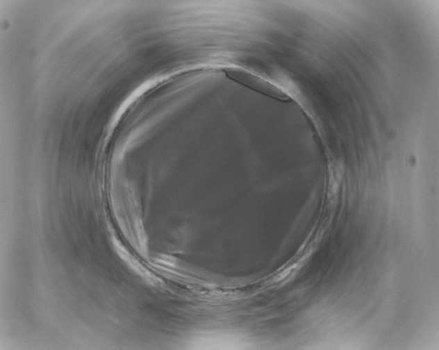 X0000052630958200507221747