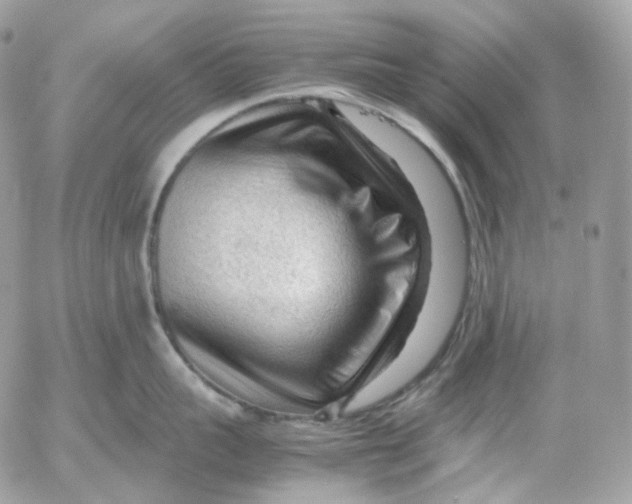 X0000052630959200507221747