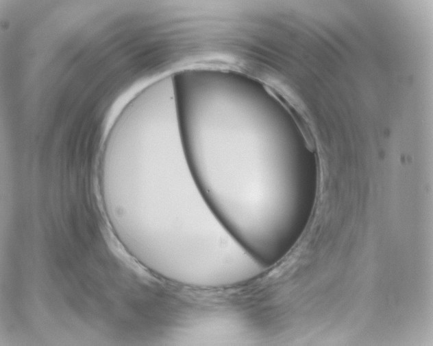 X0000052630960200507221747