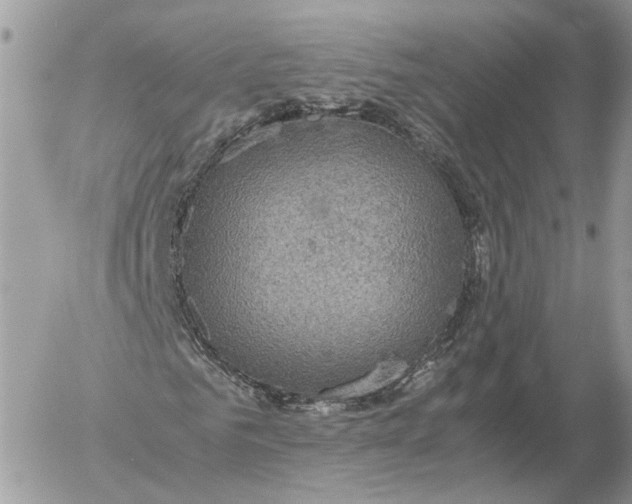 X0000052630961200507221746