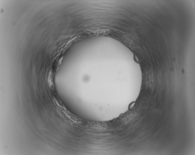 X0000052630962200507221746