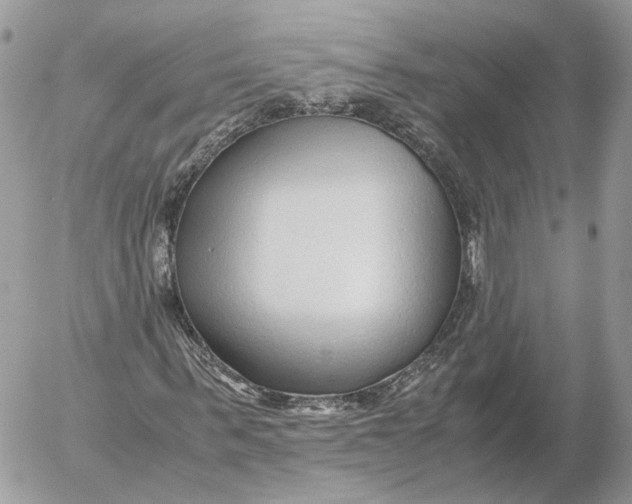 X0000052630963200507221746