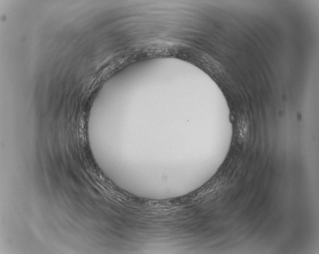 X0000052630964200507221746