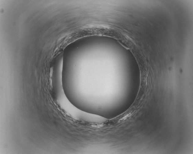 X0000052630965200507221746