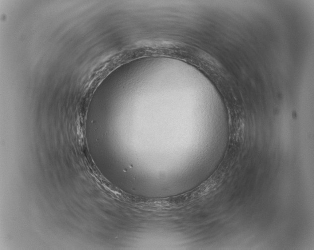 X0000052630966200507221746