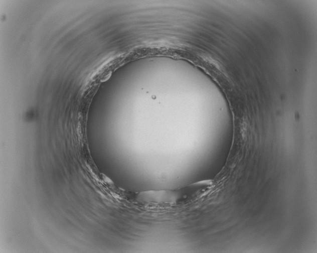 X0000052630968200507221746