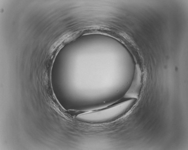 X0000052630969200507221746