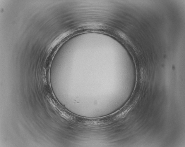 X0000052630970200507221746