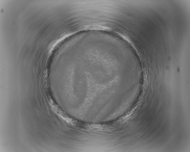 X0000052630971200507221746