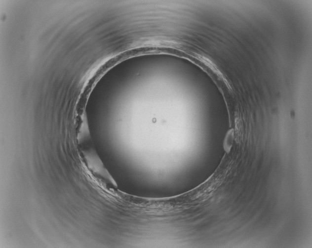 X0000052630972200507221746