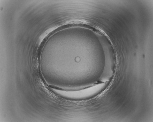 X0000052630973200507221746