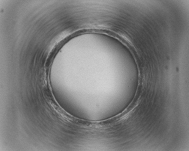 X0000052630974200507221746