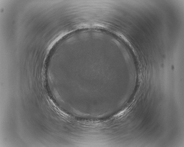 X0000052630975200507221746