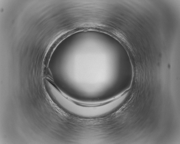 X0000052630976200507221746