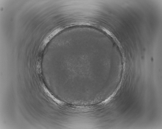 X0000052630977200507221746