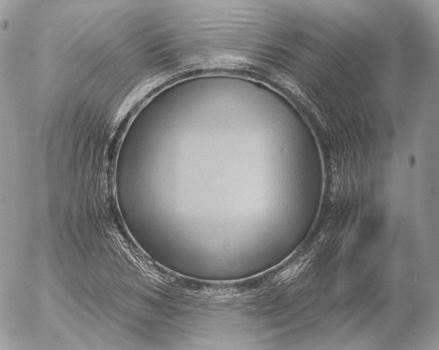 X0000052630978200507221746