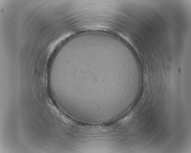 X0000052630979200507221746