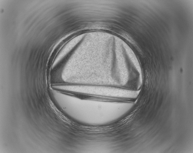 X0000052630980200507221745