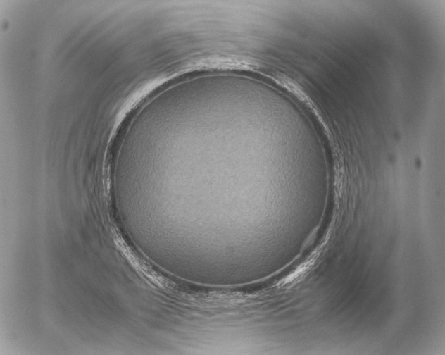 X0000052630981200507221745