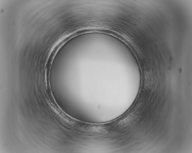 X0000052630982200507221745