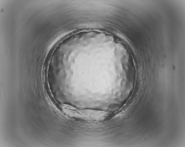 X0000052630983200507221745