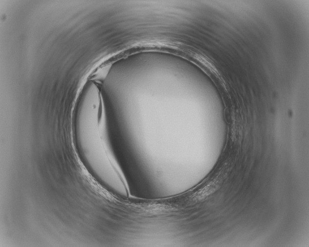 X0000052630984200507221745