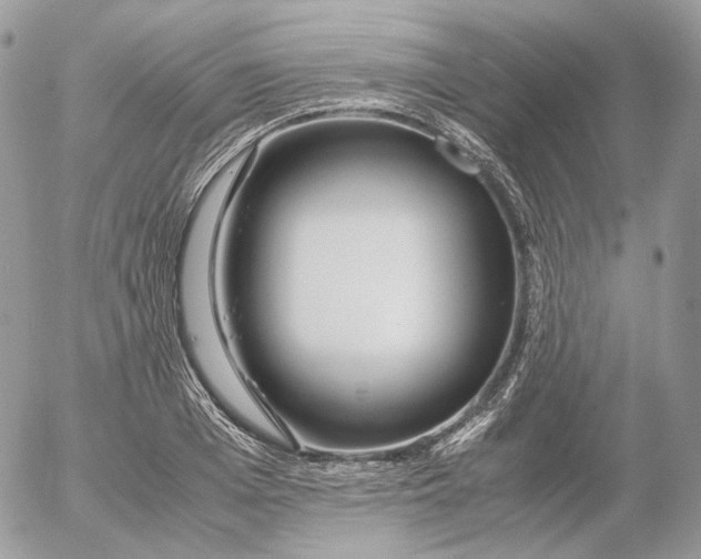 X0000052630985200507221745