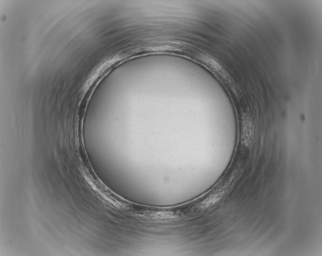 X0000052630986200507221745