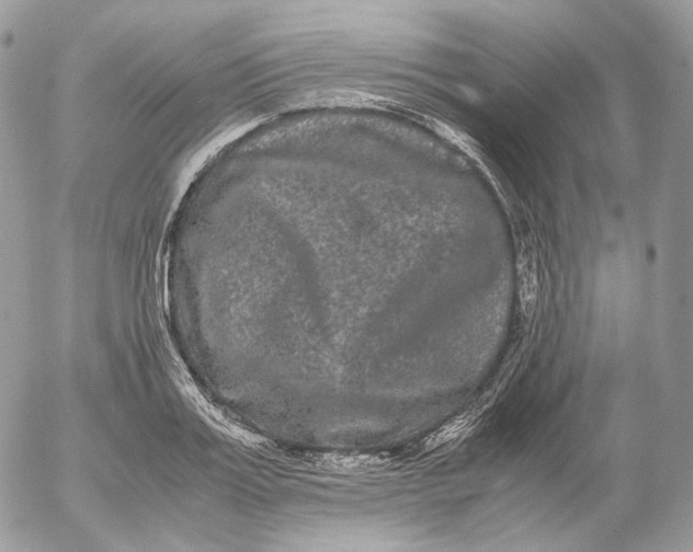 X0000052630987200507221745