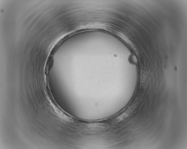 X0000052630988200507221745