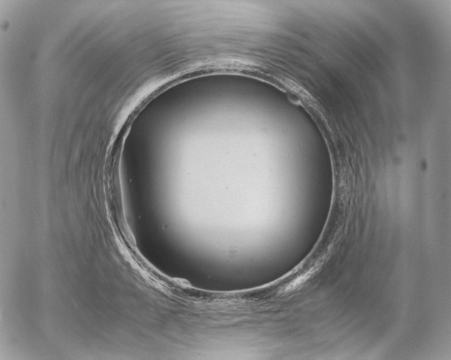 X0000052630989200507221745