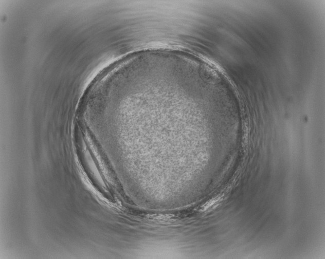 X0000052630991200507221745