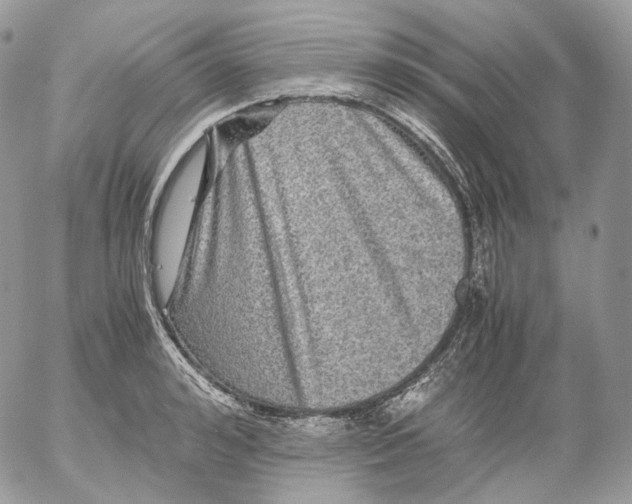 X0000052630992200507221745