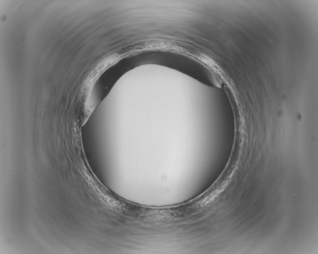 X0000052630993200507221745