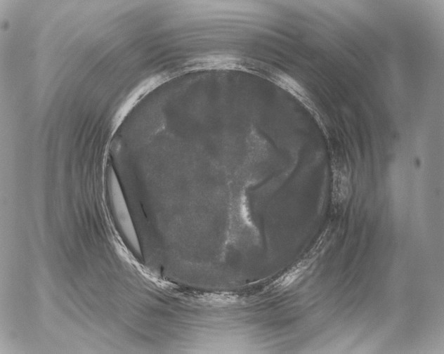 X0000052630994200507221745