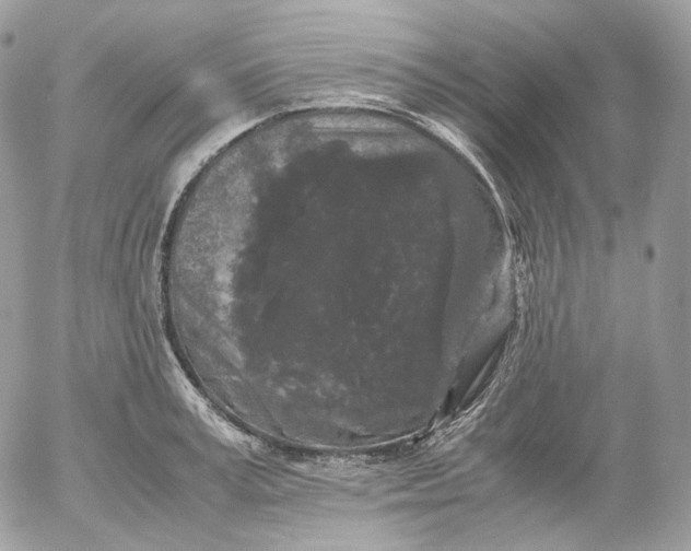 X0000052630995200507221745