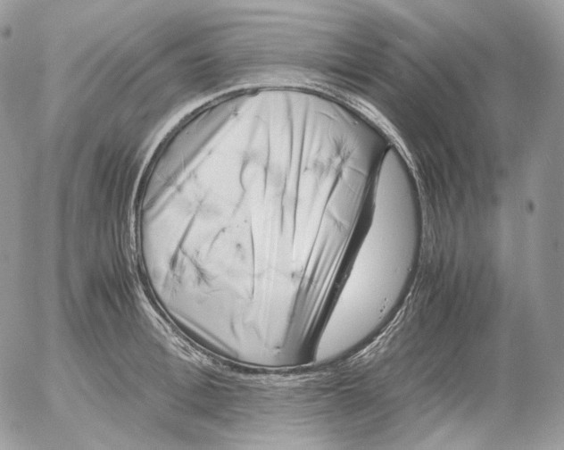 X0000052630996200507221745