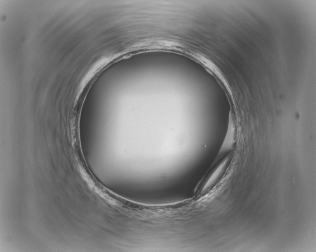 X0000052630997200507221745