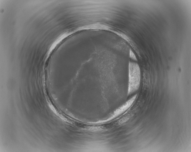 X0000052630998200507221745