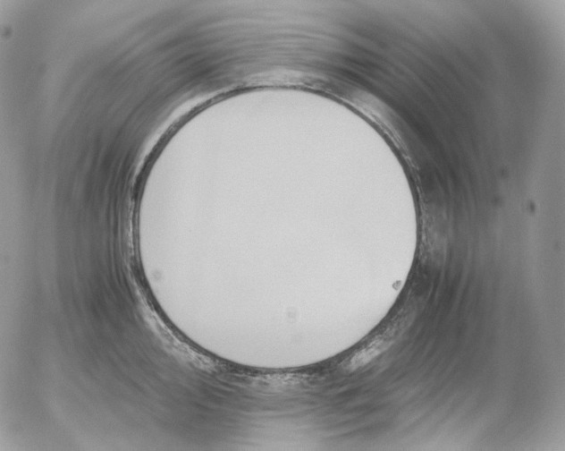 X0000052631000200507221745