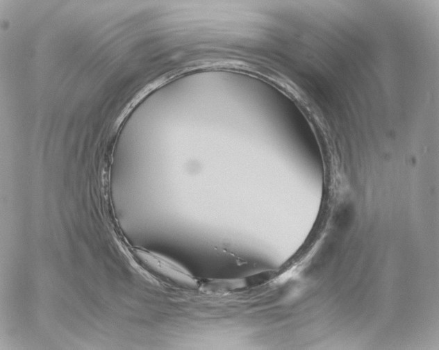 X0000052631001200507221745