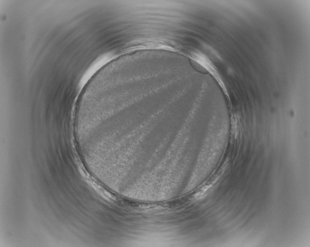 X0000052631002200507221745