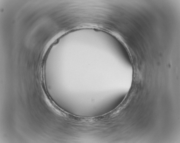 X0000052631003200507221745