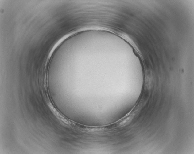 X0000052631004200507221745