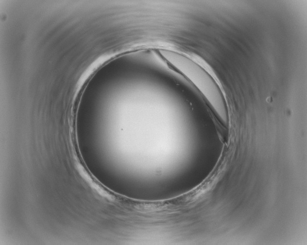 X0000052631005200507221745