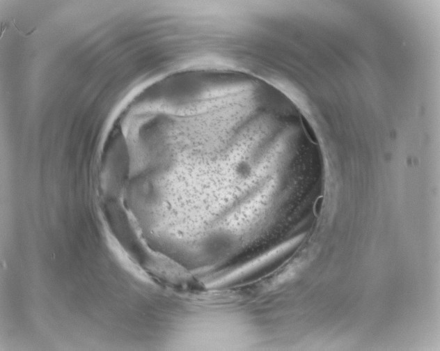 X0000052631008200507221745