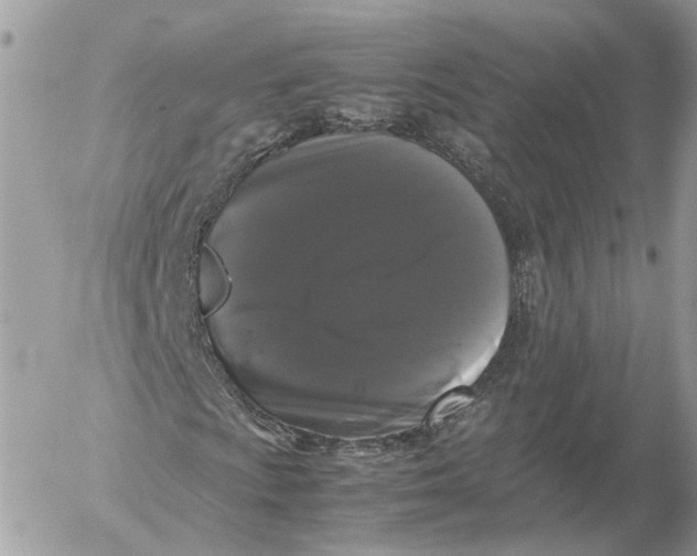 X0000052631009200507221744