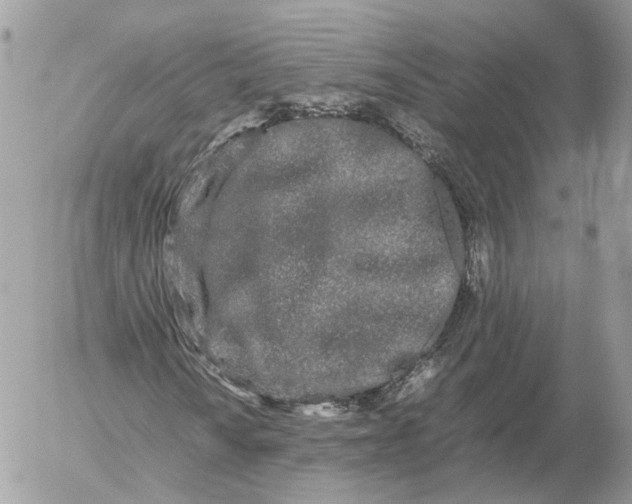 X0000052631010200507221744